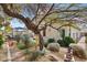 Landscaped backyard featuring trees, desert plants, and an outdoor seating area at 698 W Merrill Ave, Gilbert, AZ 85233