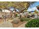 Lush backyard featuring mature trees, desert plants, and an outdoor grill at 698 W Merrill Ave, Gilbert, AZ 85233