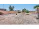 Large, open backyard space surrounded by a brick wall and a few trees at 12425 N 127Th Dr, El Mirage, AZ 85335