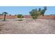 This backyard has ample space for design, small trees, and a brick surround fence at 12425 N 127Th Dr, El Mirage, AZ 85335