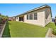 Backyard with an artificial lawn, covered patio and block wall at 17165 W Piperton St # 181, Surprise, AZ 85388