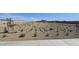 Expansive and beautiful green space ready for landscaping and community gardens at 2384 E Spur Dr, San Tan Valley, AZ 85140