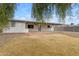 Lush backyard with mature tree, perfect for enjoying the outdoors and creating a peaceful retreat at 248 S 95Th Pl, Chandler, AZ 85224
