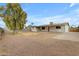 Large backyard with mature tree, offering a serene and private outdoor space for recreation and relaxation at 248 S 95Th Pl, Chandler, AZ 85224