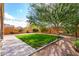 Well-maintained backyard with green grass and a mature shade tree at 26111 W Yukon Dr, Buckeye, AZ 85396