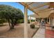 Expansive backyard with patio featuring a pergola and lush landscaping at 16004 W Falcon Ridge Dr, Sun City West, AZ 85375