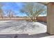 Wide backyard featuring mature trees and a large patio area at 22139 N Van Loo Dr, Maricopa, AZ 85138