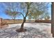 Large backyard with concrete pad features mature shade trees and desert landscaping at 22139 N Van Loo Dr, Maricopa, AZ 85138