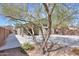 Exterior shot of the home and backyard featuring mature trees and a large concrete patio at 22139 N Van Loo Dr, Maricopa, AZ 85138