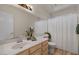 Well-lit bathroom with a shower, a large mirror, and a stylish vanity at 6915 E Gary Cir, Mesa, AZ 85207