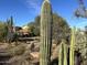 Arizona home with desert landscaping and cacti at 7100 E Montgomery Rd, Scottsdale, AZ 85266