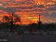 Fiery sunset sky with saguaro cacti in the foreground; perfect for a desert escape at 7100 E Montgomery Rd, Scottsdale, AZ 85266