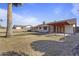 Large backyard featuring a mature palm tree and covered patio at 840 E Hackamore St, Mesa, AZ 85203