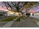 Elegant home with manicured front yard at twilight, highlighted by a mature tree and soft landscape lighting at 8418 W Louise Ct, Peoria, AZ 85383