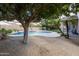 Backyard pool and lounging area with mature trees and desert landscaping, perfect for relaxation and entertaining at 1054 W Park Ave, Gilbert, AZ 85233