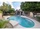 Beautiful backyard with a sparkling pool and lush greenery at 1054 W Park Ave, Gilbert, AZ 85233