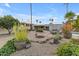 Landscaped backyard with lounge chairs, a covered patio, and desert plants at 11041 N 44Th St, Phoenix, AZ 85028