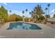 Sparkling pool surrounded by lush landscaping, palm trees, and a sunny blue sky at 11041 N 44Th St, Phoenix, AZ 85028