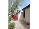 Landscaped side yard with desert plants and flowers at 12733 W Mine Trl, Peoria, AZ 85383