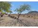 Community walking path with desert landscaping and mountain views in the distance at 1918 E Williams Dr, Phoenix, AZ 85024