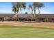 Landscaped backyard overlooking the lush golf course at 3711 N 162Nd Ln, Goodyear, AZ 85395