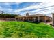 Lush backyard with sprawling green grass, covered patio, and sparkling pool area offering serenity at 5318 W Aire Libre Ave, Glendale, AZ 85306