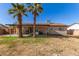 Palm trees dot the expansive backyard, complemented by a covered patio at 699 W Shannon St, Chandler, AZ 85225