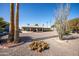 Well-maintained single-story home surrounded by desert landscaping and mature palm trees at 9309 W Briarwood Cir, Sun City, AZ 85351