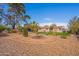 Large landscaped backyard featuring mature trees, cacti, and a green lawn area at 99 W Circle Dr, Florence, AZ 85132