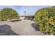 Cozy backyard featuring mature citrus trees and a covered patio, perfect for outdoor living at 10407 W Mission Ln, Sun City, AZ 85351