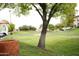 Green space view featuring a mature shade tree and distant buildings at 10410 N Cave Creek Rd # 2007, Phoenix, AZ 85020