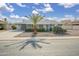 Well-maintained single-story home with manicured landscaping and a mature palm tree in the front yard at 12408 N Cherry Hills W Dr, Sun City, AZ 85351