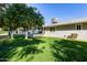 A well-maintained backyard featuring lush green grass, a mature citrus tree, and the home's neutral-toned exterior at 12515 W Prospect Dr, Sun City West, AZ 85375