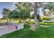 Exterior view of a well-maintained yard with fruit trees and mature landscaping at 12515 W Prospect Dr, Sun City West, AZ 85375