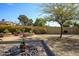 Backyard featuring mature trees, rock landscaping, and a custom planter at 1301 E Belmont Ave, Phoenix, AZ 85020