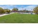 A large backyard with green grass and a chain link fence surrounding the refreshing pool at 1301 E Belmont Ave, Phoenix, AZ 85020