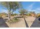 Spacious backyard with a garden, trees, and a glimpse of the pool, offering a serene outdoor living space at 1301 E Belmont Ave, Phoenix, AZ 85020