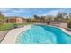 Backyard with a refreshing pool surrounded by well-maintained landscaping and a lounge chair at 1301 E Belmont Ave, Phoenix, AZ 85020