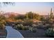 Desert landscape featuring a walking path and mature Saguaro cactus at 18024 E Wolf Tree Ln, Rio Verde, AZ 85263