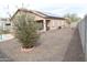 Spacious backyard with desert landscaping, mature shrubs, and an open patio area at 1813 N Lewis Pl, Casa Grande, AZ 85122