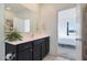 Stylish bathroom vanity featuring framed mirror and flower decorations at 21889 N 259Th Ave, Buckeye, AZ 85396