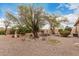 Landscaped backyard featuring decorative rocks, mature trees and shrubbery at 26681 S Howard Dr, Sun Lakes, AZ 85248