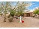 Spacious backyard featuring decorative landscaping and a covered patio at 26681 S Howard Dr, Sun Lakes, AZ 85248