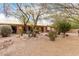 Landscaped backyard with mature trees, desert landscaping, and a covered patio at 26681 S Howard Dr, Sun Lakes, AZ 85248