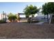 Large backyard with mature trees and a covered patio at 27 N 199Th Ave, Buckeye, AZ 85326