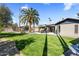 Expansive backyard featuring a lush lawn, mature palm trees, and a refreshing pool at 301 E Carol Ann Way, Phoenix, AZ 85022