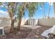 A backyard featuring trees, shed and a rock landscape at 790 N Meadows Dr, Chandler, AZ 85224