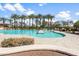 Resort-style community pool with palm trees, lounge chairs, and ample deck space at 964 S Henry Ln, Gilbert, AZ 85296