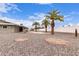 Backyard with a gravel covering, decorative rock accents, and mature palm trees at 9703 W Forrester Dr, Sun City, AZ 85351