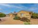 Beautiful single-story house showcasing desert landscaping and mature shrubbery in front yard at 10726 W Pineaire Dr, Sun City, AZ 85351